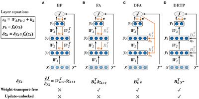 Learning Without Feedback: Fixed Random Learning Signals Allow for Feedforward Training of Deep Neural Networks